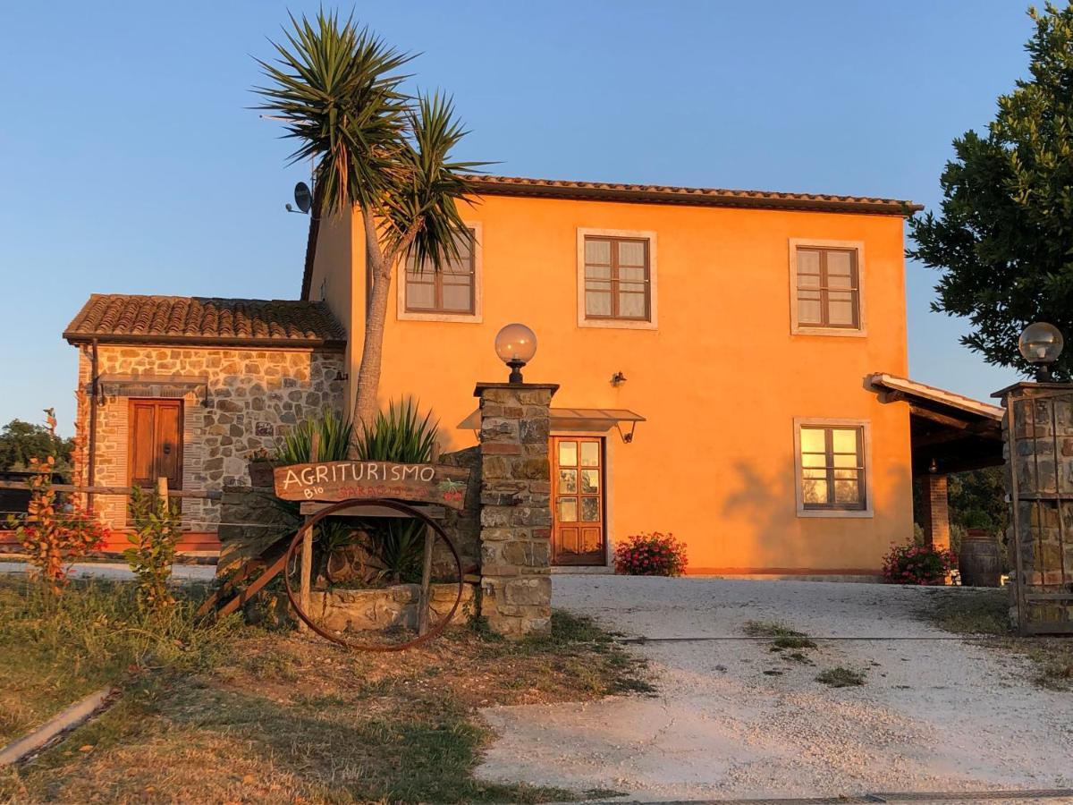 Agriturismo Il Saragiolo Villa Montemerano Exterior photo